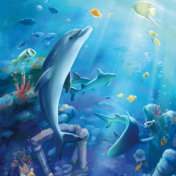 Ecco le dauphin - illustration A3 - Image 2